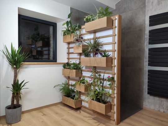 Mur végétale murale d'intérieur en bois, bac amovible avec plante